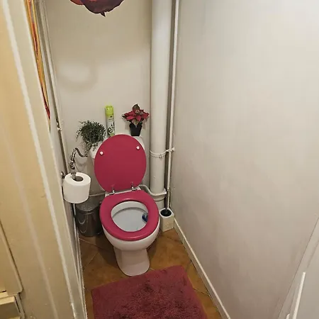 50 M2