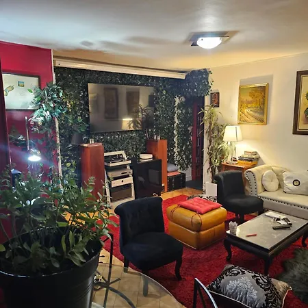 50 M2