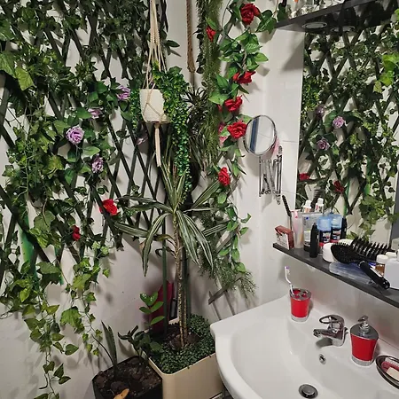 Apartment 50 M2 *