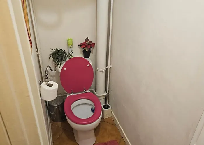 50 M2