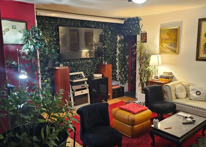 50 M2